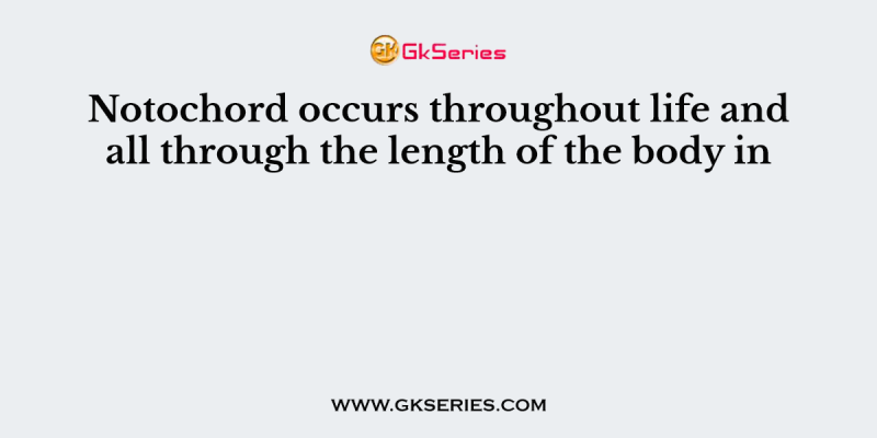 Notochord occurs throughout life and all through the length of the body in