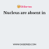 Nuclei were first discovered by