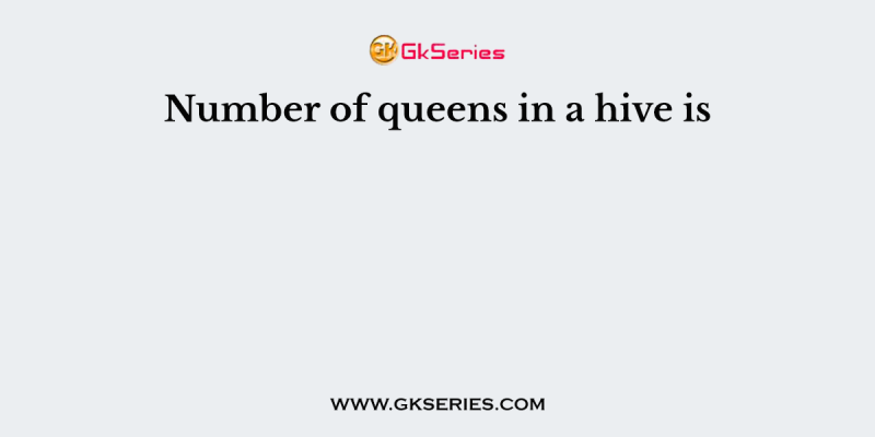 Number of queens in a hive is