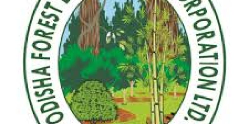 OFDC Recruitment 2020 for 146 Accounts Assistant, Lower Division Assistant & Executive Assistant Vacancy