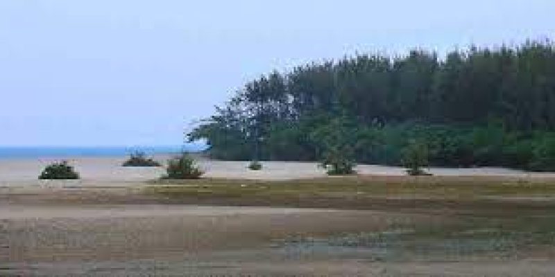 Odisha to invest Rs 261 crore in livelihood action plan