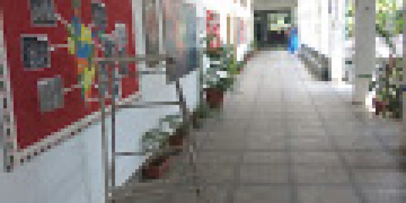 Ojaswini Institute of Management and Technology, Damoh