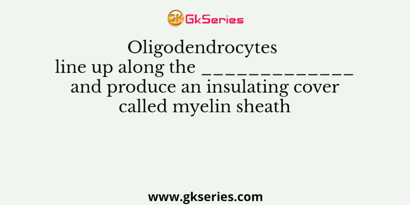 Oligodendrocytes line up along the _____________ and produce an insulating cover called myelin sheath