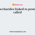 In polysaccharides, monosaccharaides are joined by