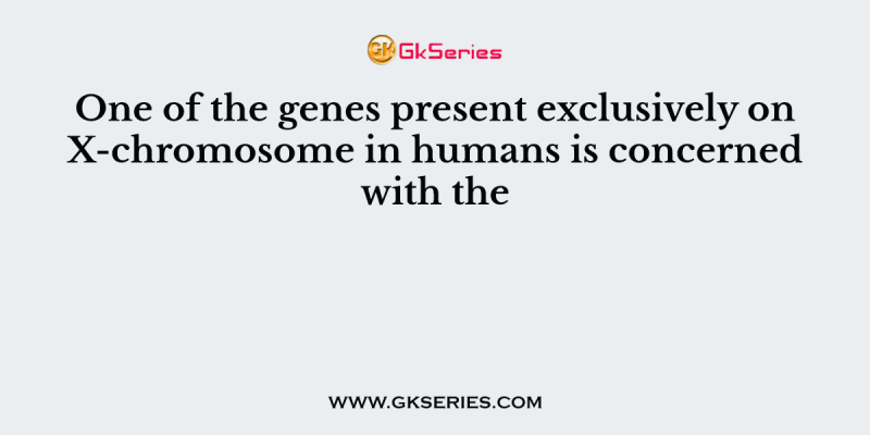 One of the genes present exclusively on X-chromosome in humans is concerned with the