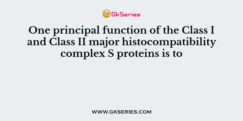 One principal function of the Class I and Class II major histocompatibility complex S proteins is to