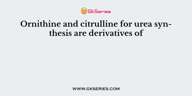 Ornithine and citrulline for urea synthesis are derivatives of