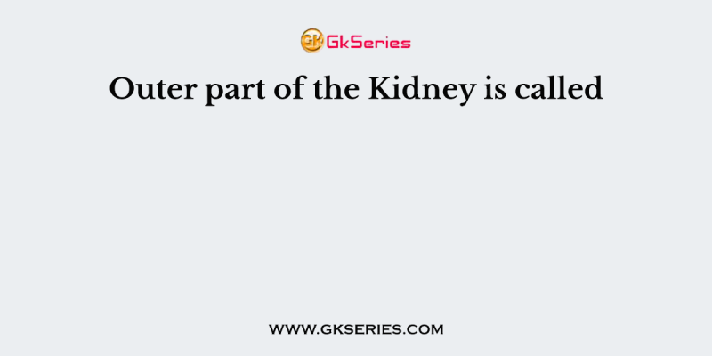 Outer part of the Kidney is called