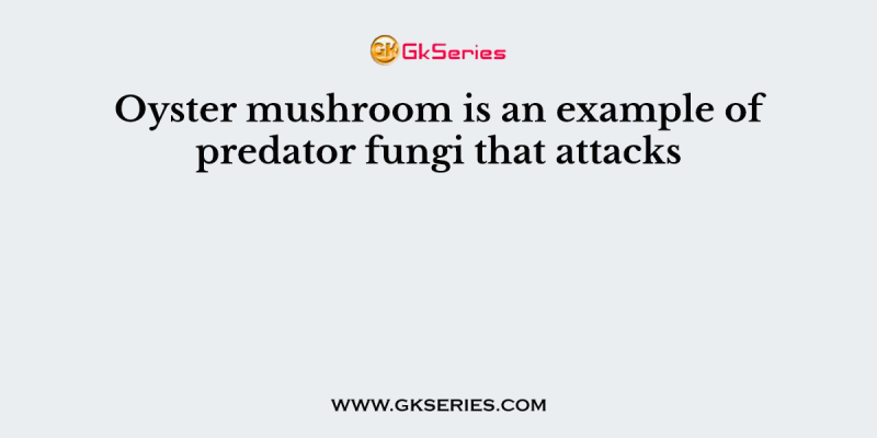 Oyster mushroom is an example of predator fungi that attacks