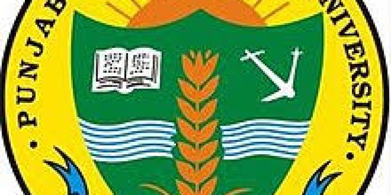 PAU Recruitment 2021 for Junior Research Fellow Vacancy