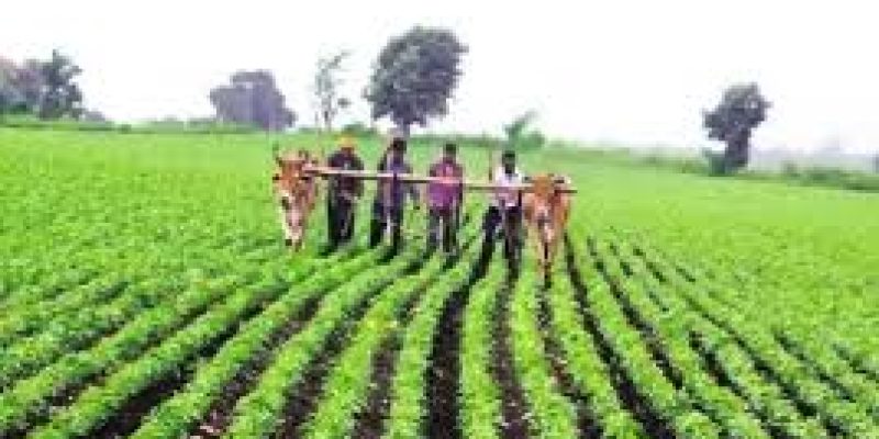 PM-AASHA Scheme Extended to Support Farmers Until 2025-26