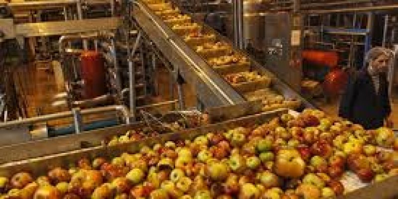 Govt launched PM FME scheme to help micro food processing enterprises
