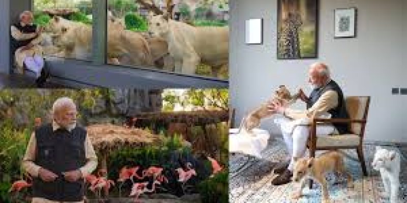 PM Modi Inaugurates Vantara, an Animal Rescue and Conservation Centre in Gujarat