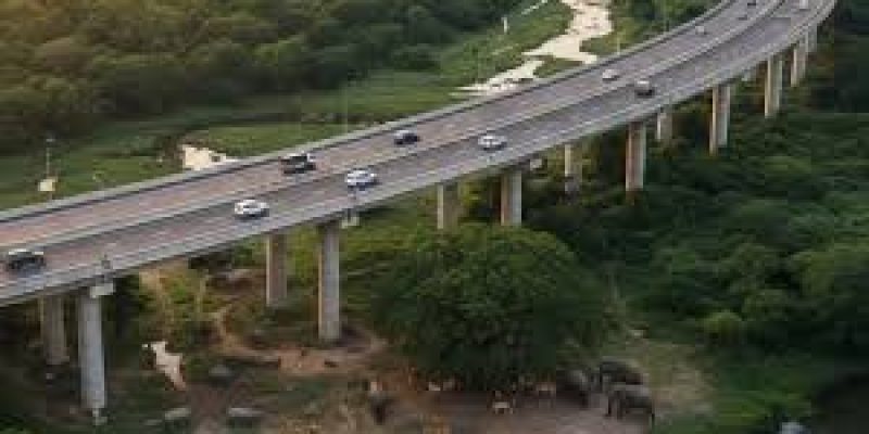 PM Modi Launches ₹6,957 Crore Kaziranga Elevated Corridor