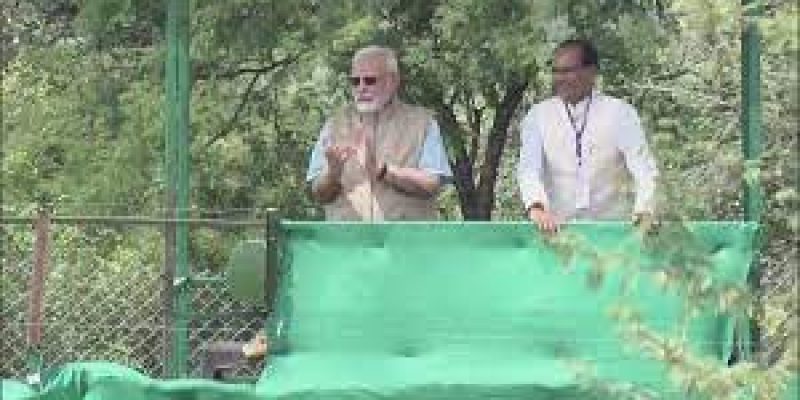 PM Narendra Modi launched world’s first Cheetah Rehabilitation Project