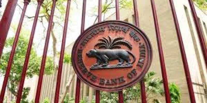 Panel set up by RBI to assist regulatory review authority