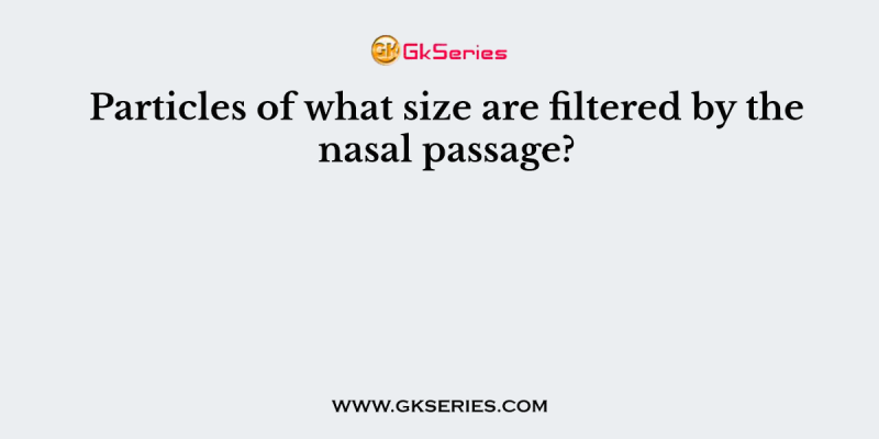 Particles of what size are filtered by the nasal passage?