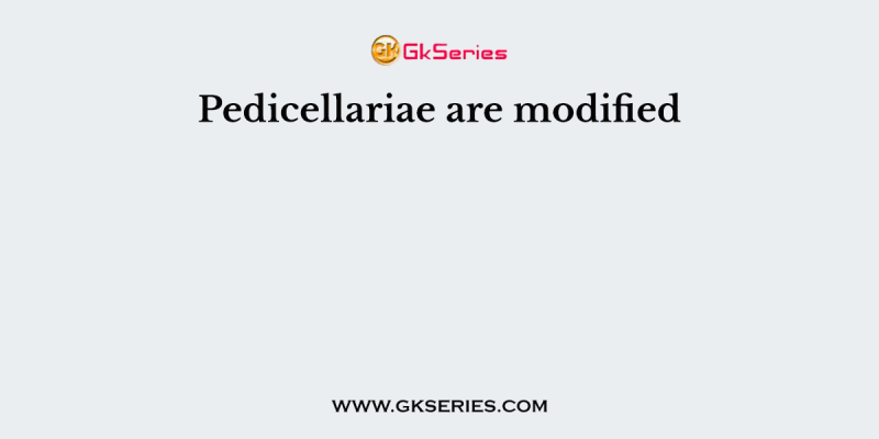 Pedicellariae are modified