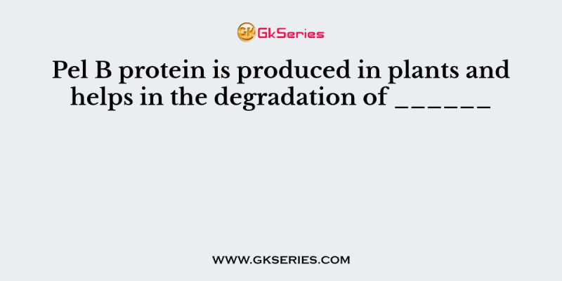 Pel B protein is produced in plants and helps in the degradation of ______   