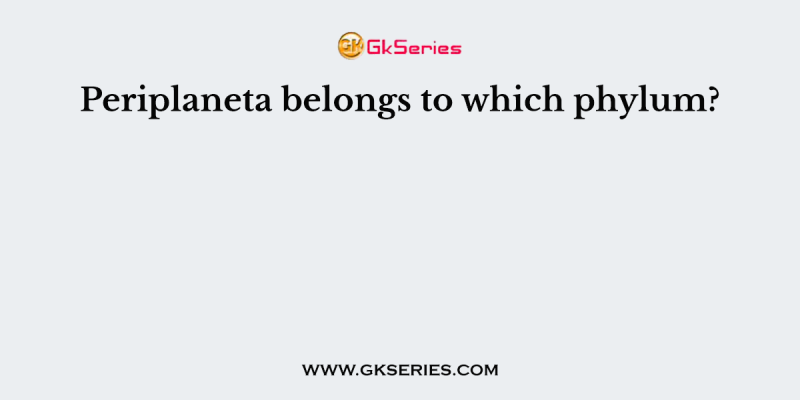 Periplaneta belongs to which phylum?