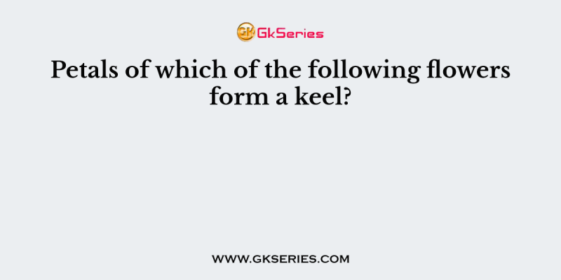 Petals of which of the following flowers form a keel?