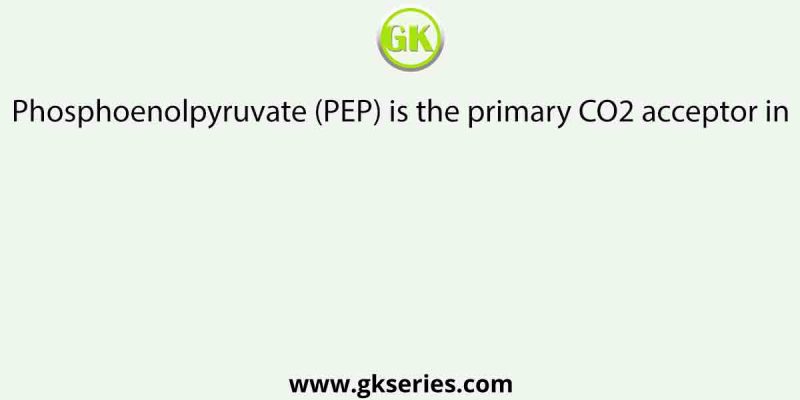 Phosphoenolpyruvate (PEP) is the primary CO2 acceptor in