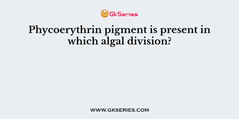 Phycoerythrin pigment is present in which algal division?