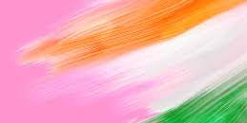 Pink Revolution in India