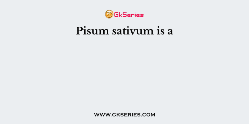 Pisum sativum is a