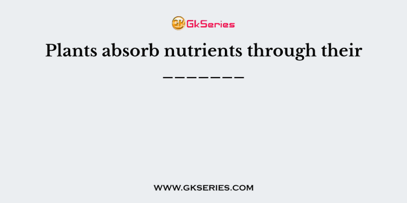 Plants absorb nutrients through their _______