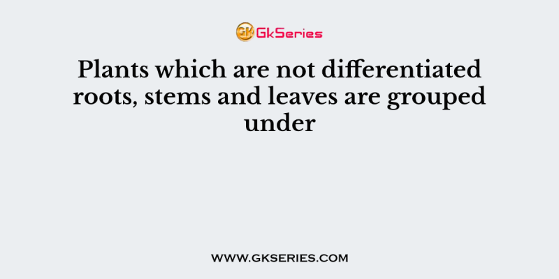 Plants which are not differentiated roots, stems and leaves are grouped under