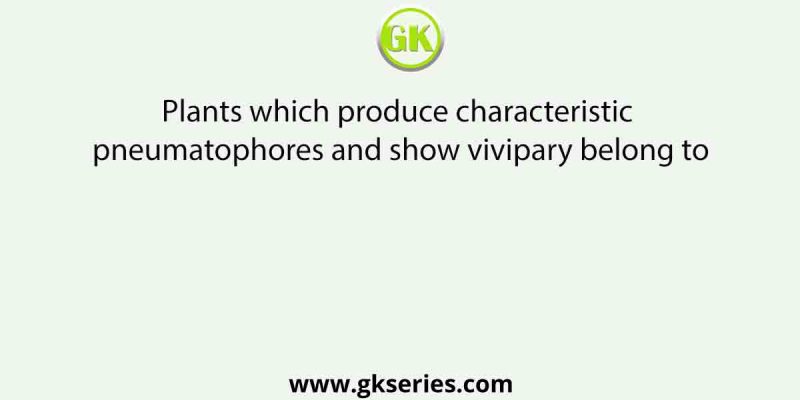 Plants which produce characteristic pneumatophores and show vivipary belong to