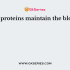 Plasma protein globulins functions as?