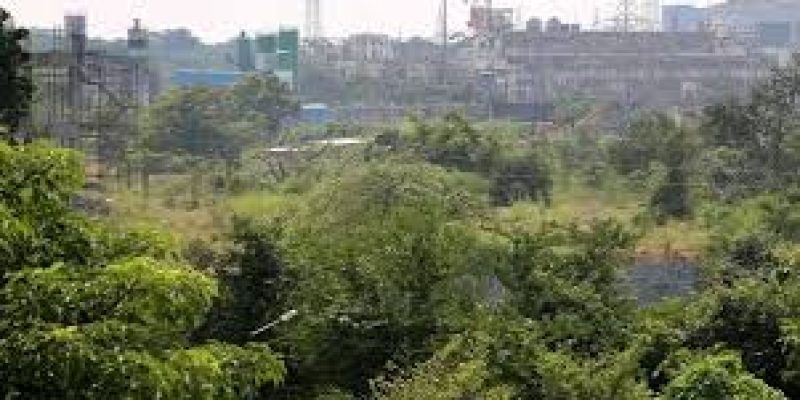 Politics behind Uddhav govt decision to move contentious shed out of Aarey