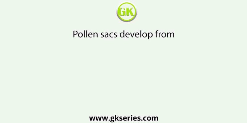Pollen sacs develop from