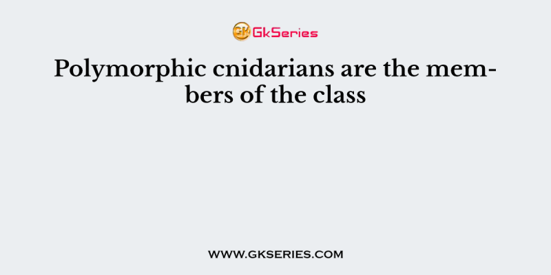 Polymorphic cnidarians are the members of the class