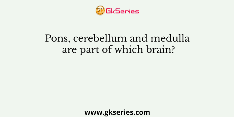 Pons, cerebellum and medulla are part of which brain?