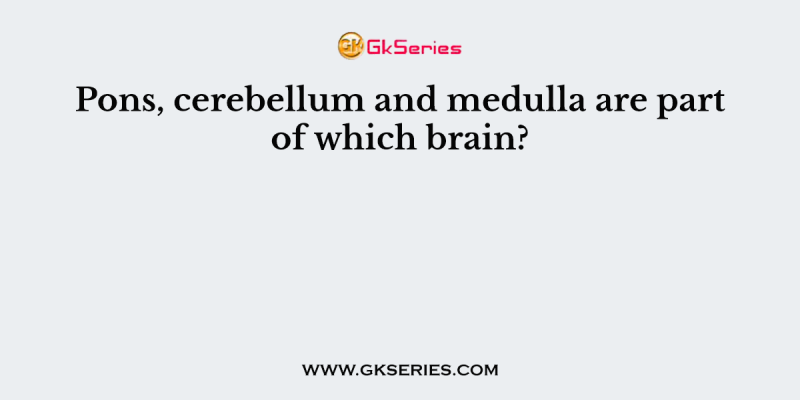 Pons, cerebellum and medulla are part of which brain?