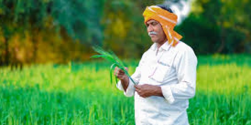 The 4th National Conference on Pradhan Mantri Fasal Bima Yojana