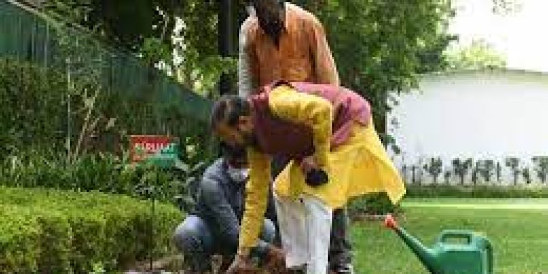 Prakash Javadekar started Van Mahotsav 2021 by planting Parijat plant