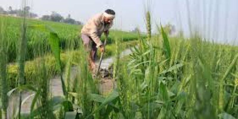 President promulgates 2 Ordinances to boost rural India and agriculture