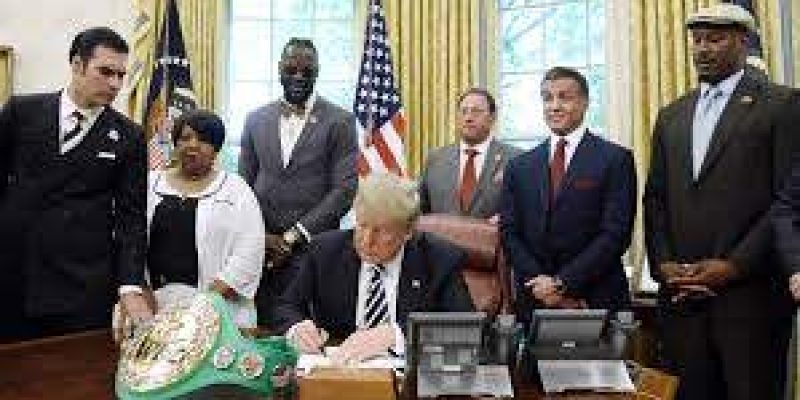 President’s powers to pardon in US