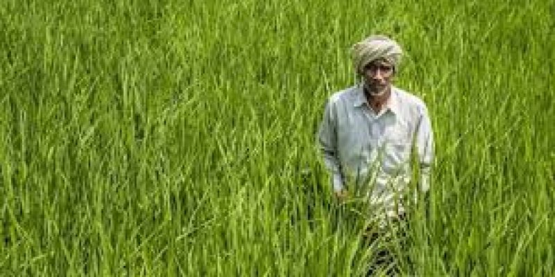 Prime Minister Dhan-Dhaanya Krishi Yojana: Govt identifies 100 Aspirational Agriculture Districts