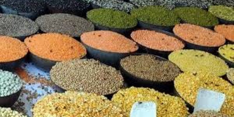 Procurement operations of Pulses and Oilseeds directly from Farmers