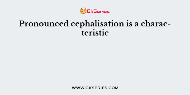 Pronounced cephalisation is a characteristic