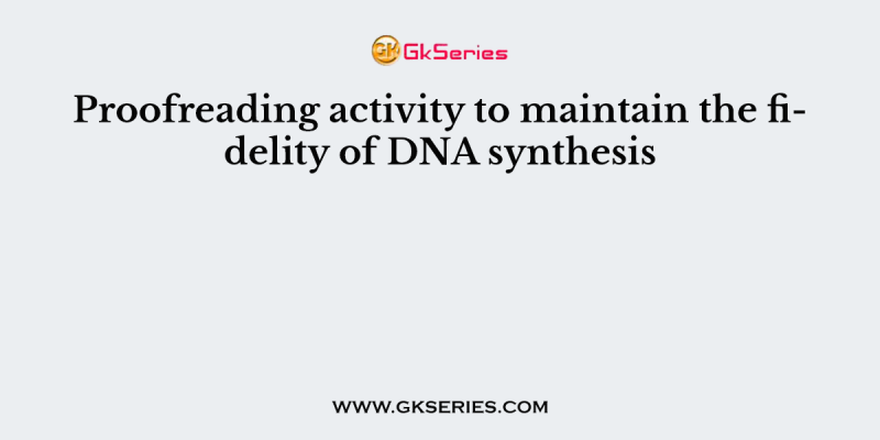 Proofreading activity to maintain the fidelity of DNA synthesis