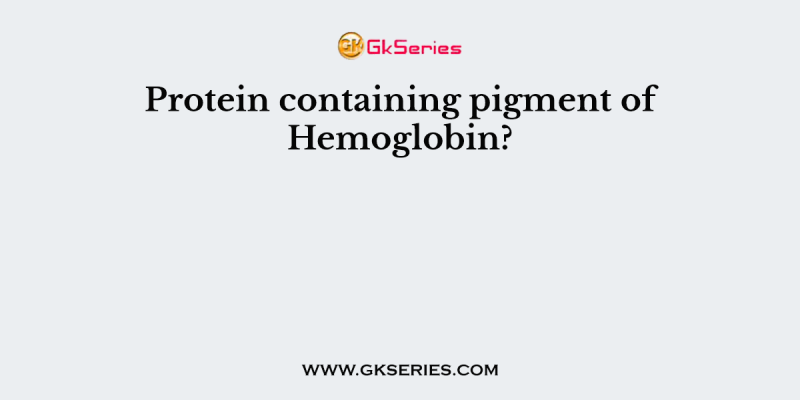 Protein containing pigment of Hemoglobin?