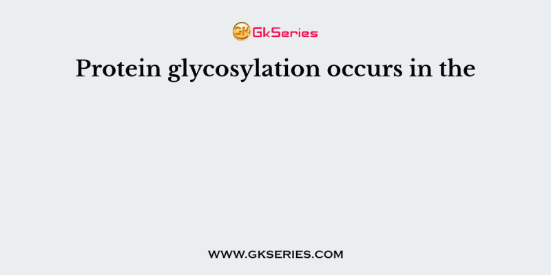 Protein glycosylation occurs in the