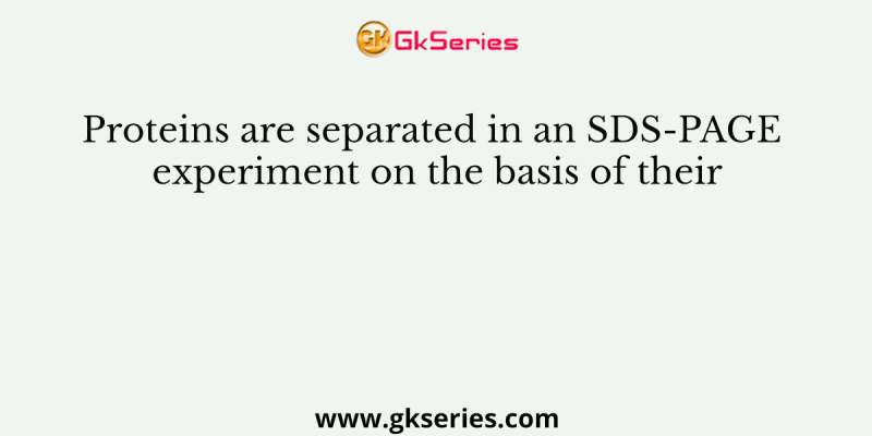 Proteins are separated in an SDS-PAGE experiment on the basis of their