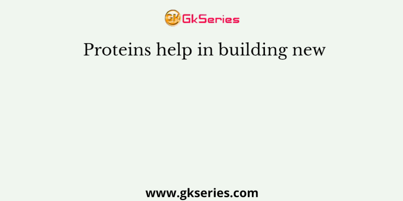 Proteins help in building new